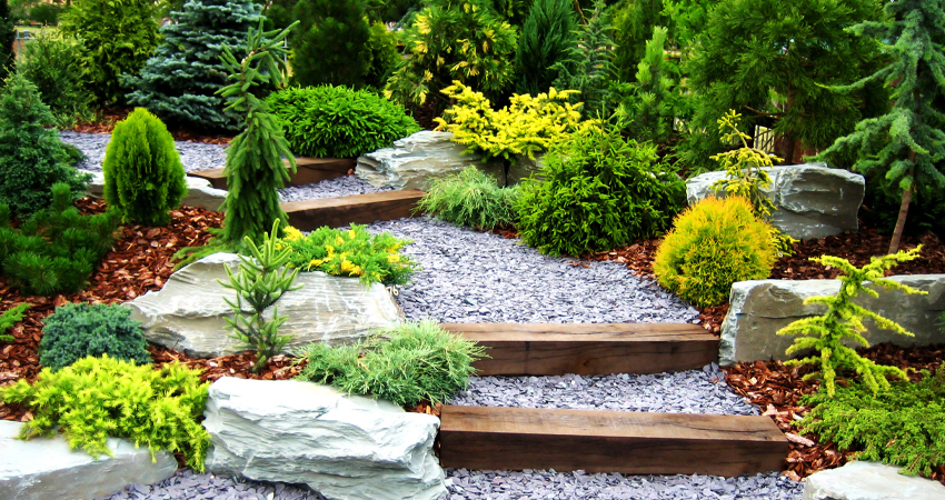 Planting and Landscaping by The Lawn Artist