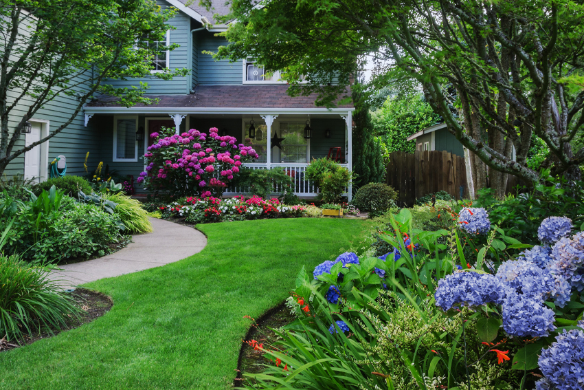 Planting and Landscaping